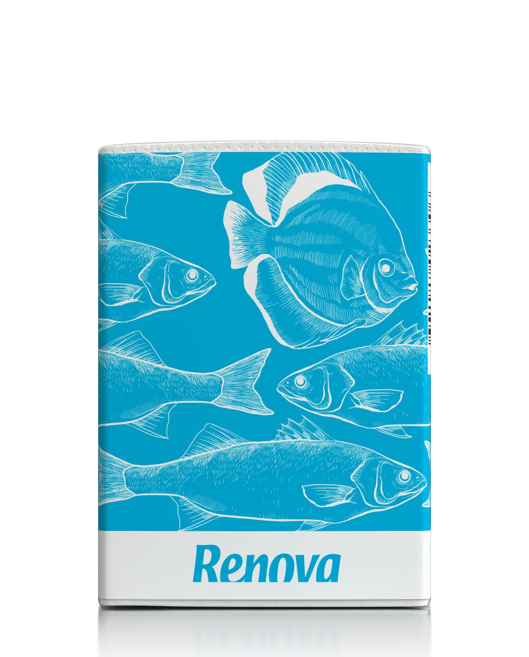 Summer Nature Pocket Tissues