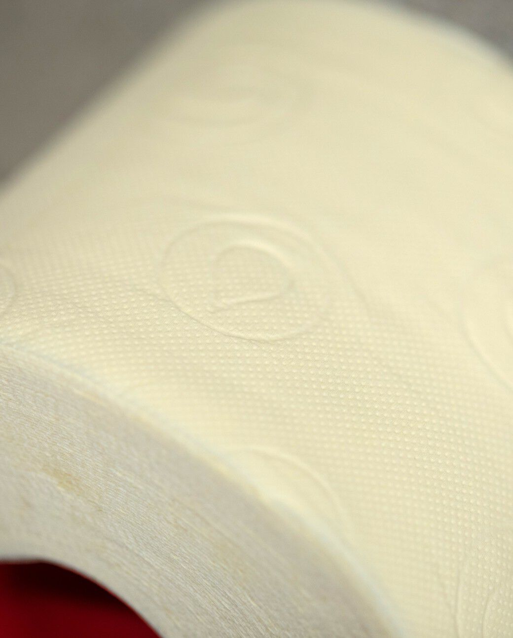 Double Faced Nude Toilet Paper 4R