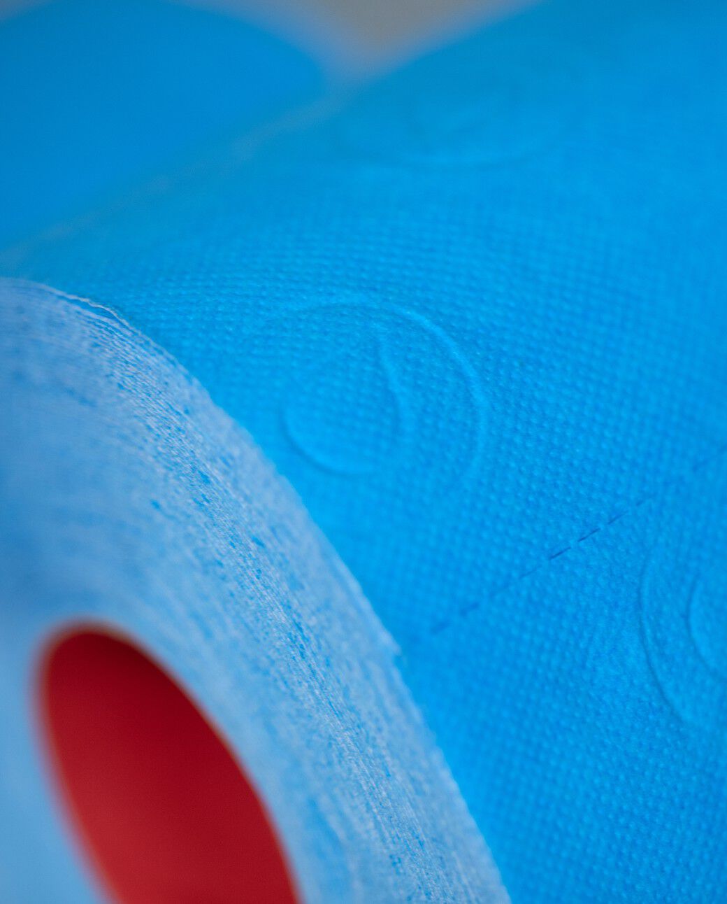 Double Faced Blue Toilet Paper 4R