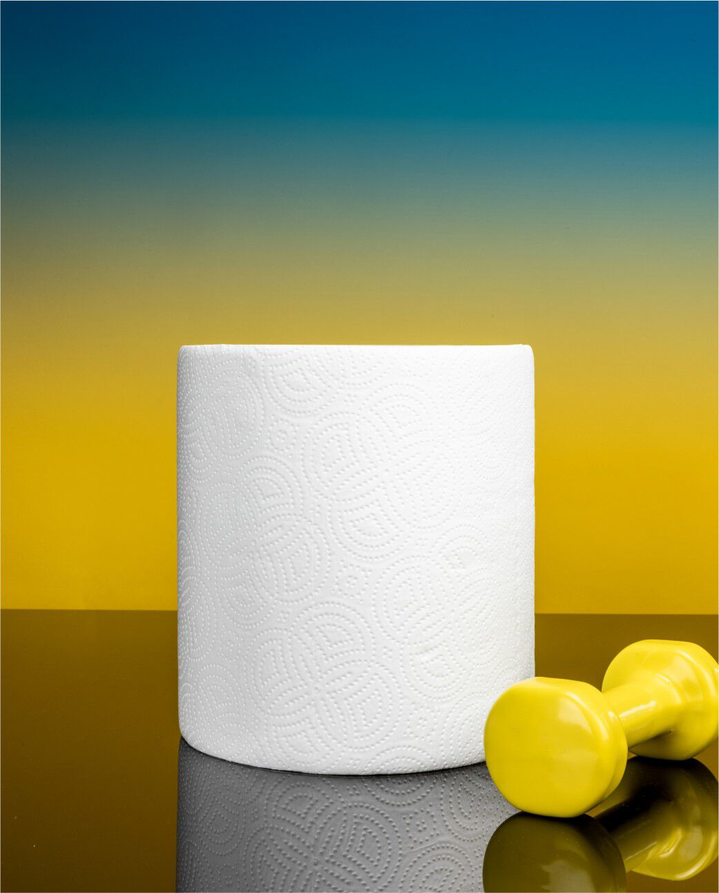 Max Absorption Ultra Power Gigaroll Paper Towels