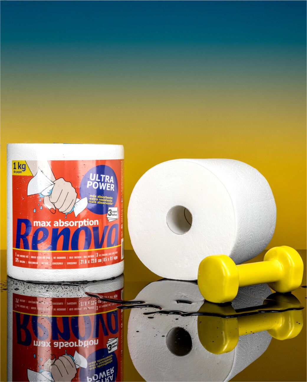 Max Absorption Ultra Power Gigaroll Paper Towels