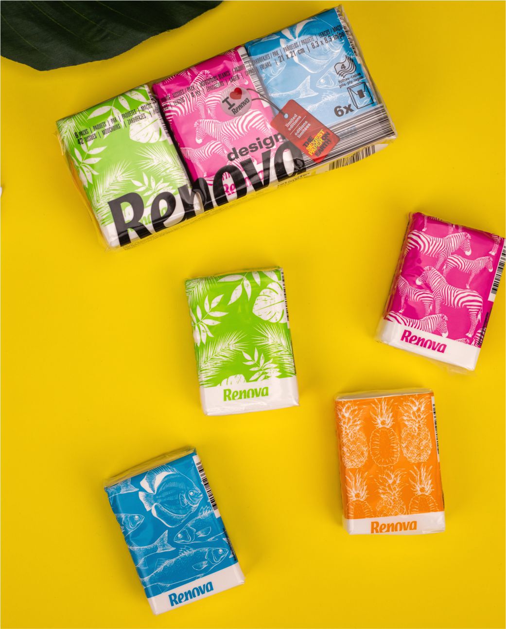 Summer Nature Pocket Tissues