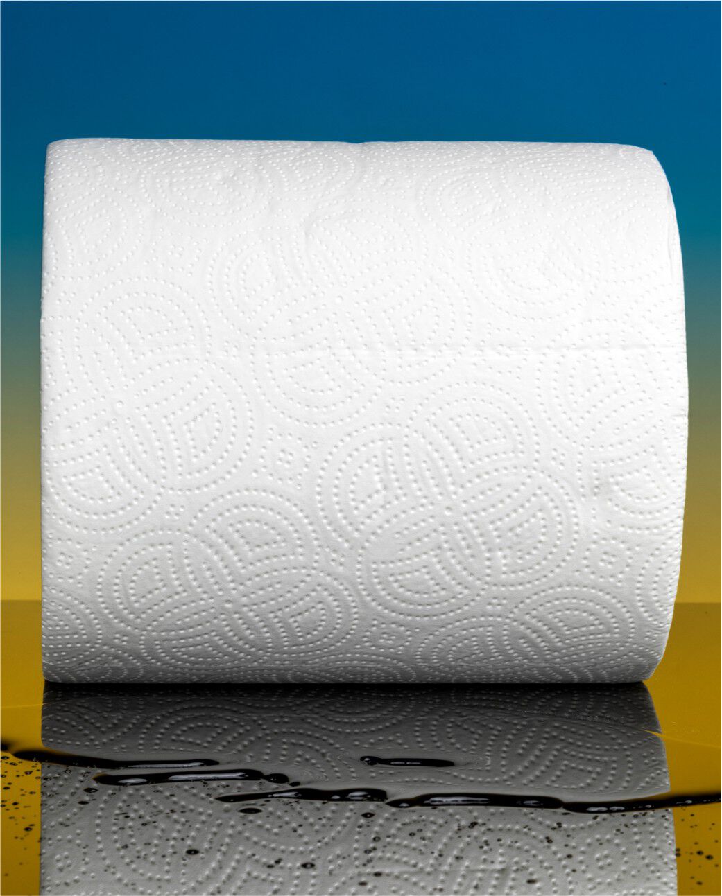 Max Absorption Ultra Power Gigaroll Paper Towels